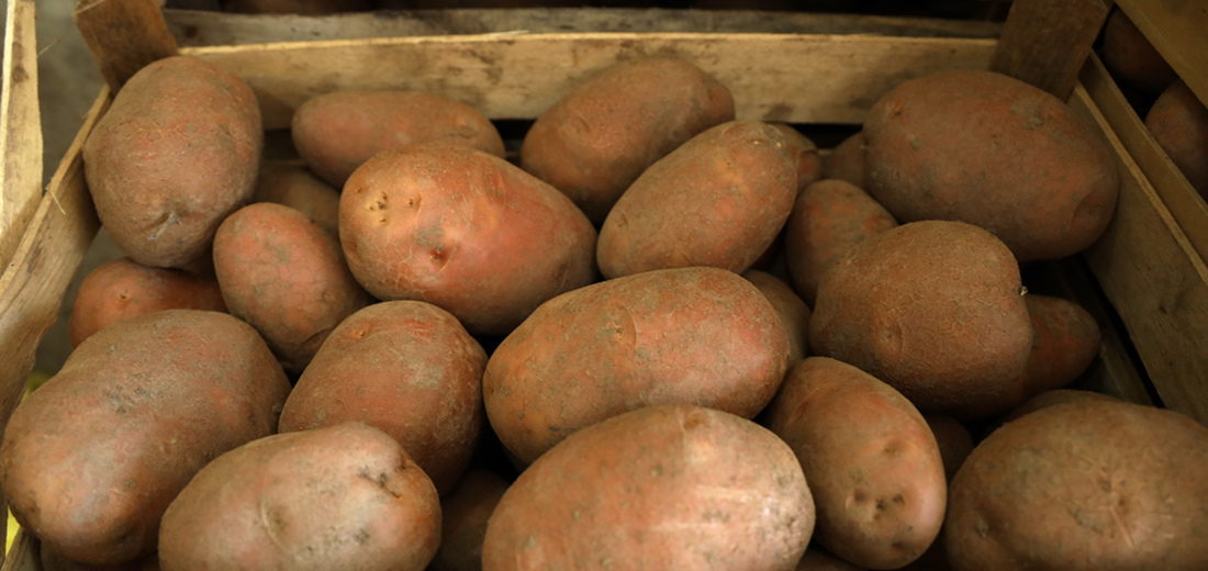 Lyckeby Christian Berner AB