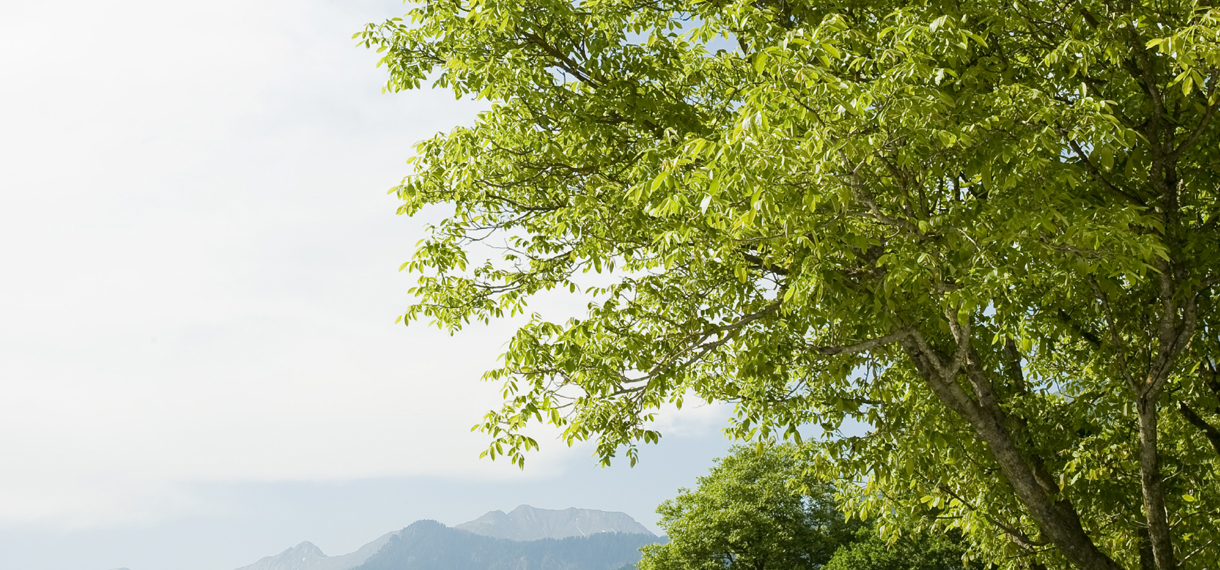 Scrubber löser dammproblem