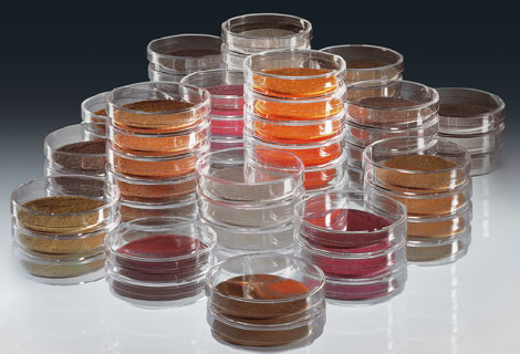 Ovrigt-inom-mikrobiologi_1